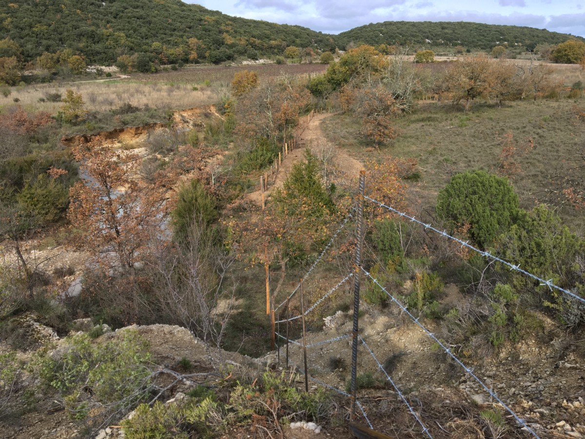 Clôtures - bovins - ovins - caprins 