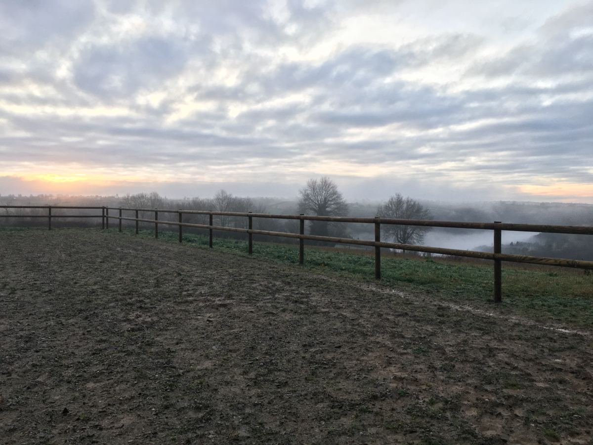 carrière-equestre